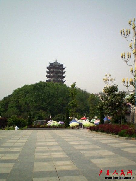 P4220049.JPG