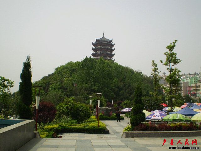 P4220091.JPG