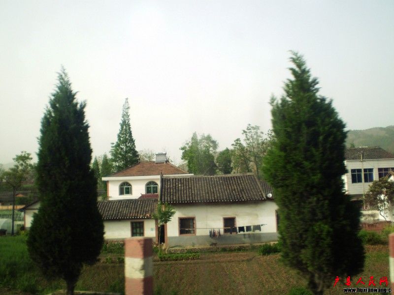 P4220115.JPG