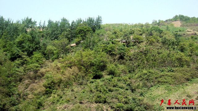 DSC06748.JPG