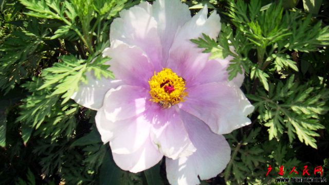 DSC06765.JPG