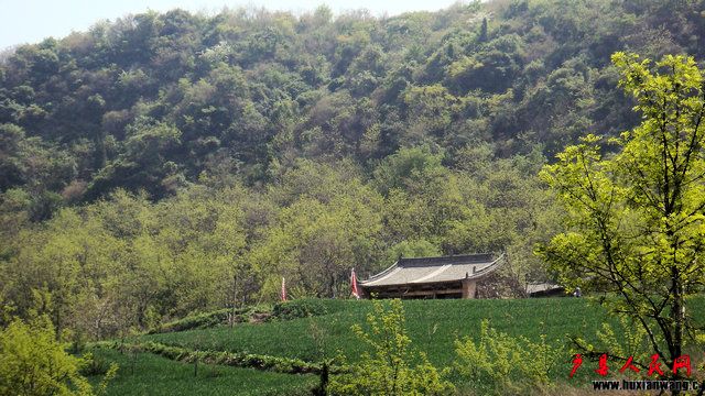 DSC06819.JPG