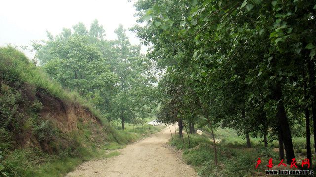 DSC06900.JPG