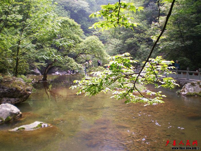 P4250183.JPG