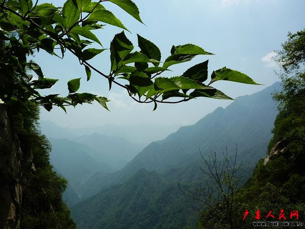 P1050072.jpg
