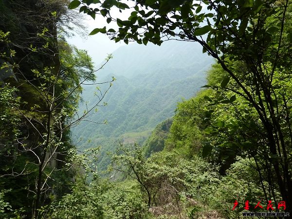 P1050069.jpg
