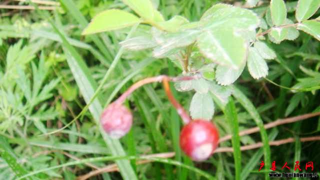DSC07061.JPG