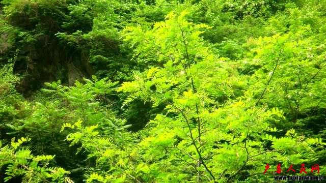 DSC07058.JPG