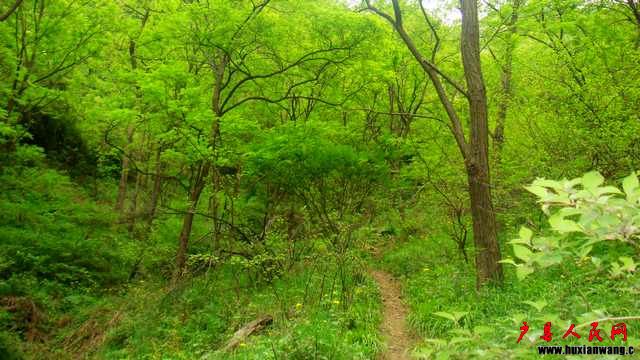 DSC07062.JPG