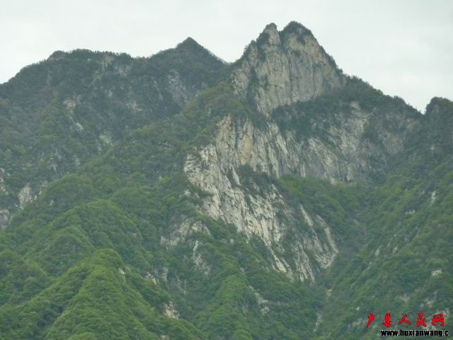 С P1000502.JPG