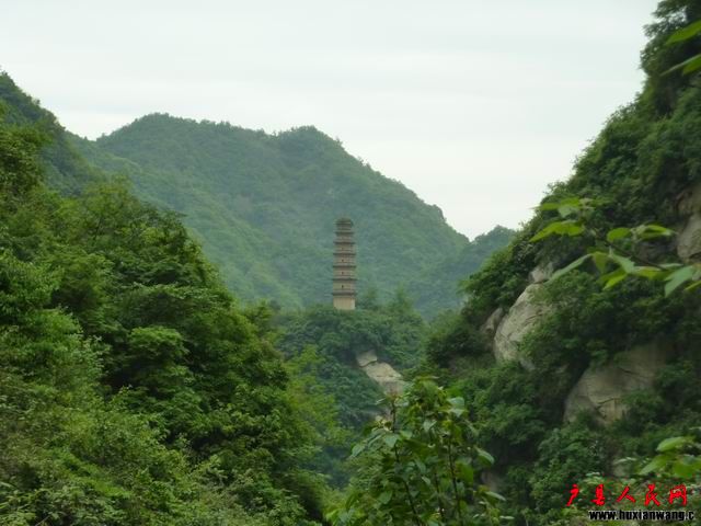 С P1000559.JPG