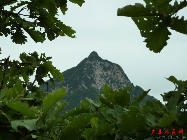 С P1000507.JPG