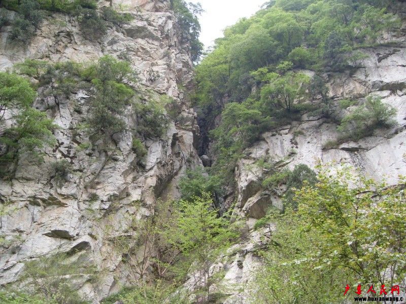 conew_sdc11059.jpg