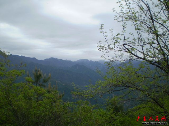 P4300095.JPG