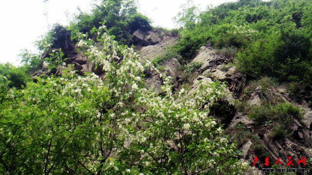 DSC07091.jpg