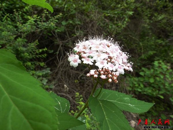 P1050240.jpg