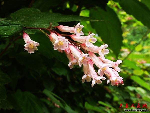 P1050241.jpg