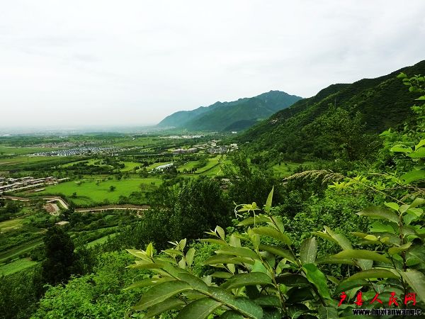P1050170-1.jpg