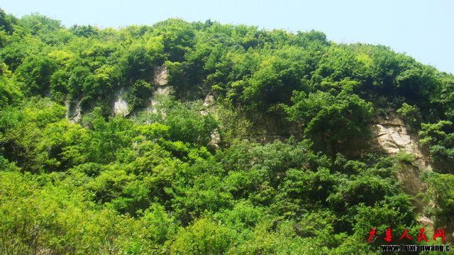 DSC07212.JPG