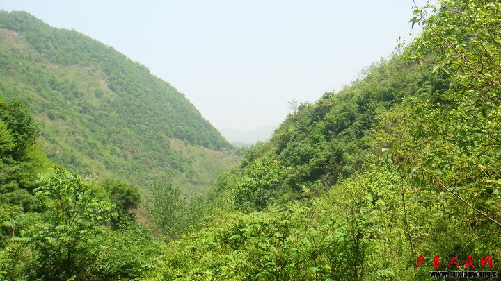 DSC07209.jpg