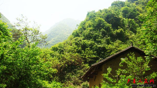 DSC07218.JPG