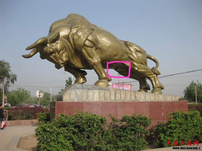 niu1.JPG