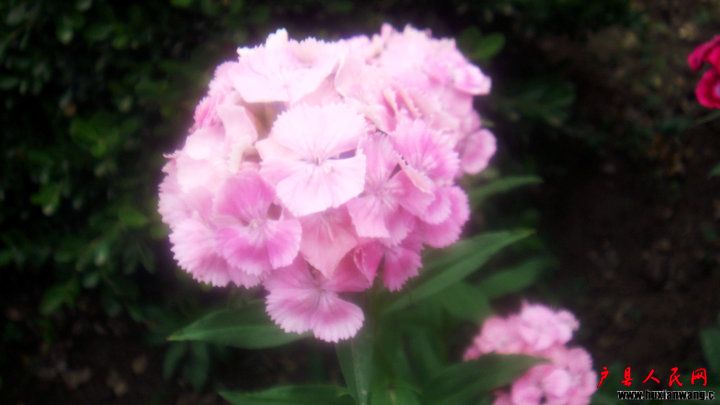DSC07444.JPG