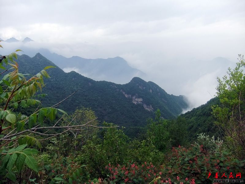 DSCF0817.jpg