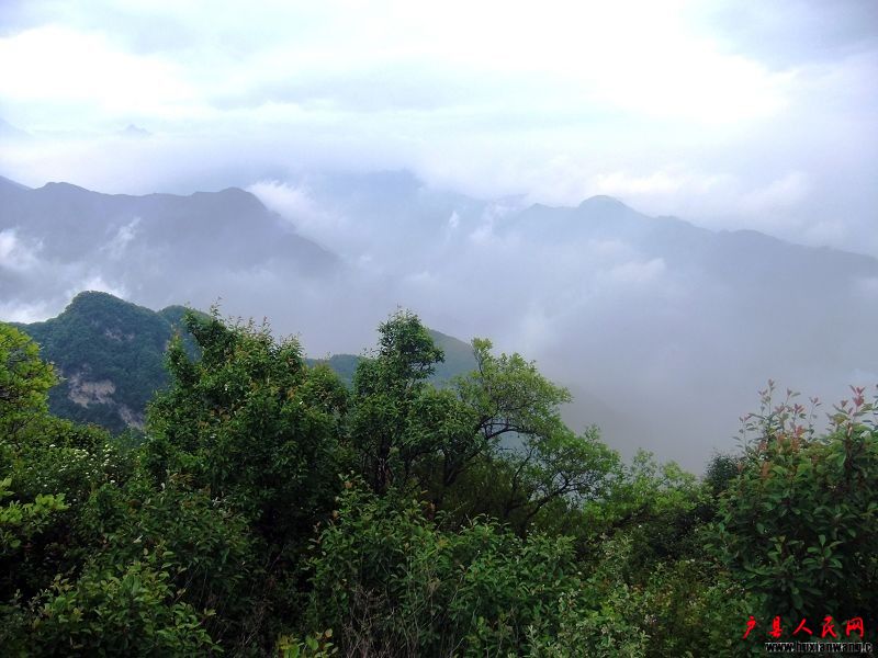 DSCF0828.jpg