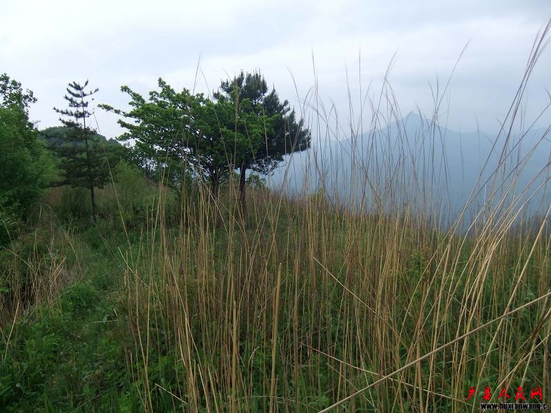 DSCF0808.jpg