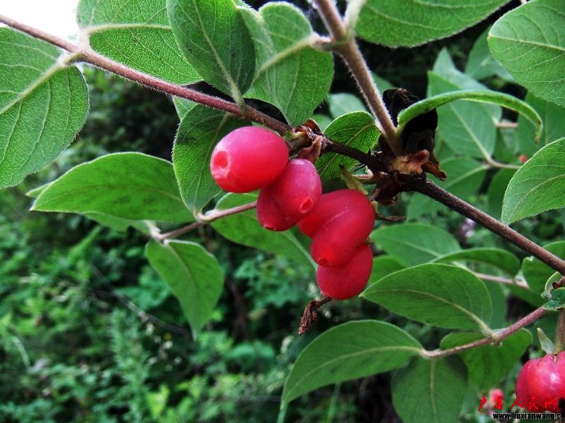 DSCF0840.jpg