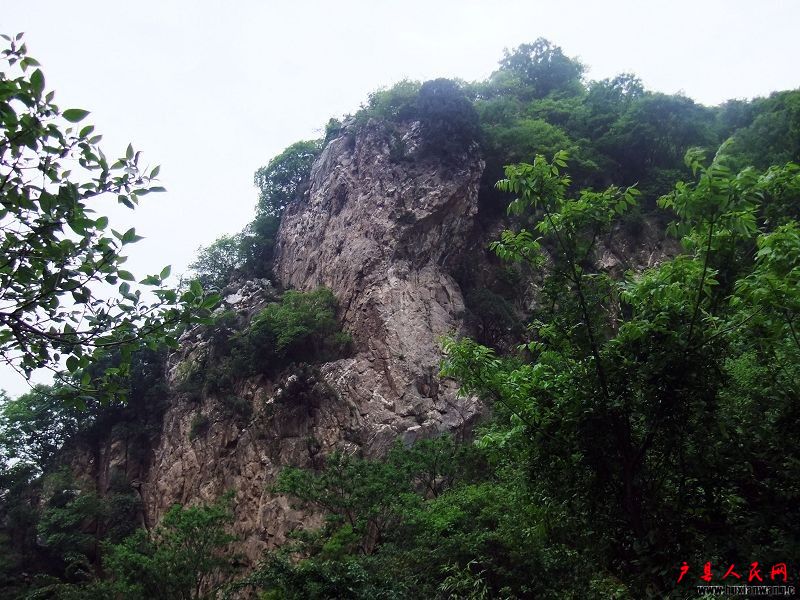 DSCF0835.jpg