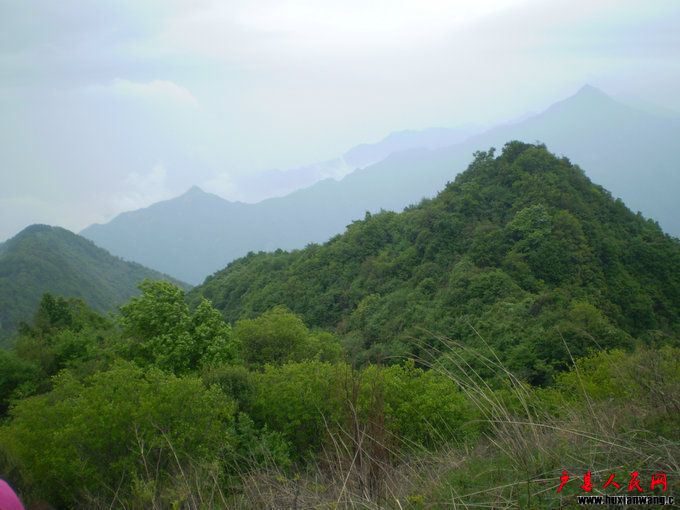 P1010212.JPG