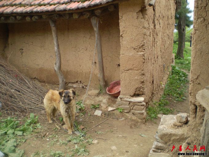 P1010203.JPG