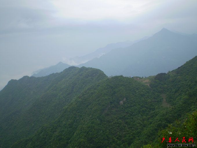 P1010220.JPG