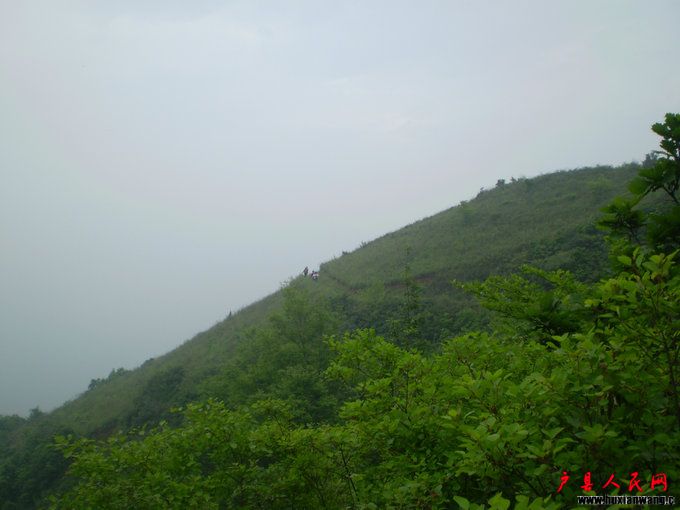 P1010227.JPG