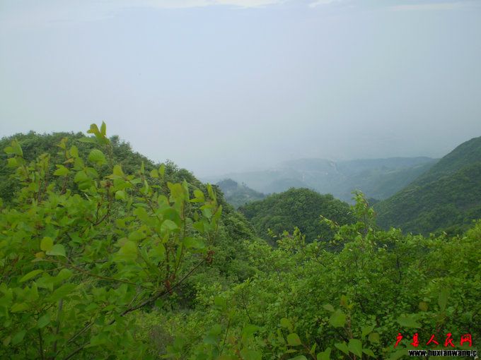 P1010225.JPG