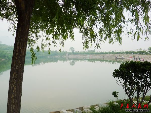 P1050302-1.jpg