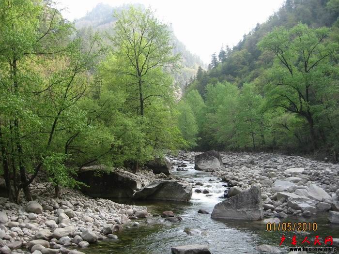 Ƭ 040.jpg