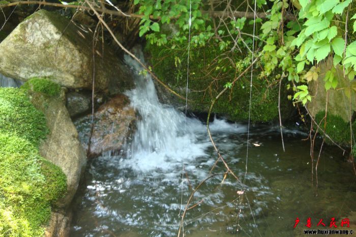 DSC02909.JPG