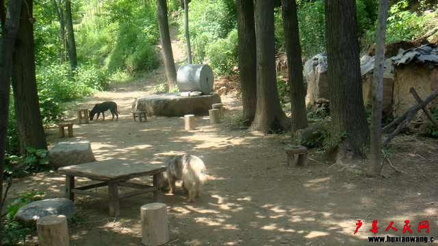 DSC07488.JPG