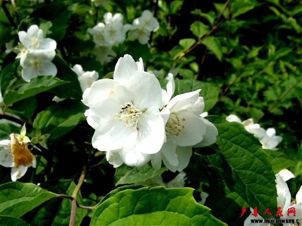 DSC01162_.jpg