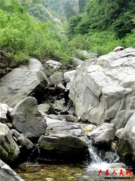 DSC01200_.jpg