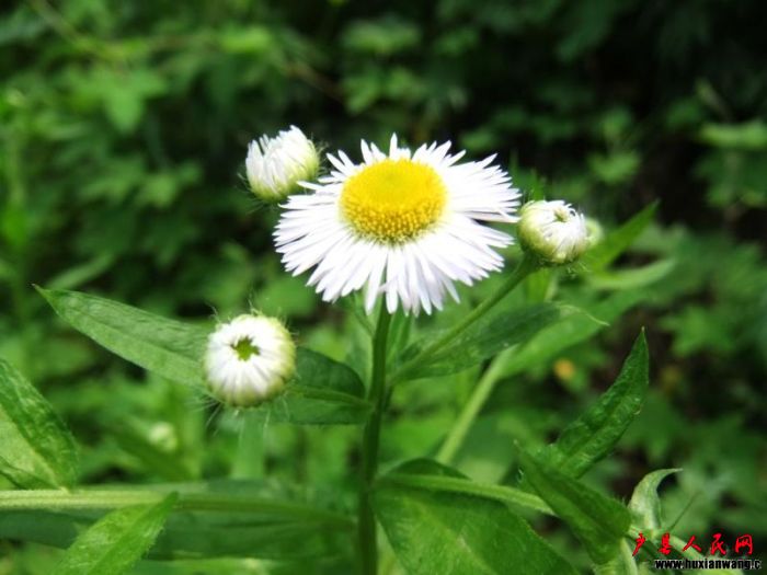 008_800x600.jpg