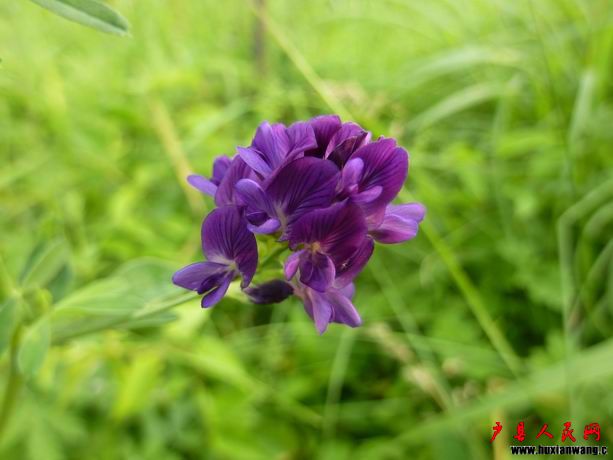 С P1010229.JPG