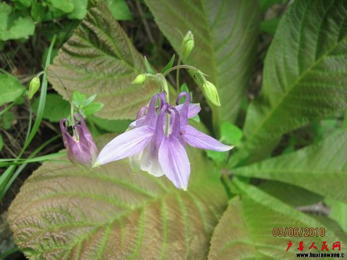 Ƭ 063.jpg
