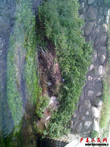 ǰݱˮ