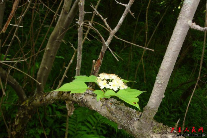 DSC03090.JPG