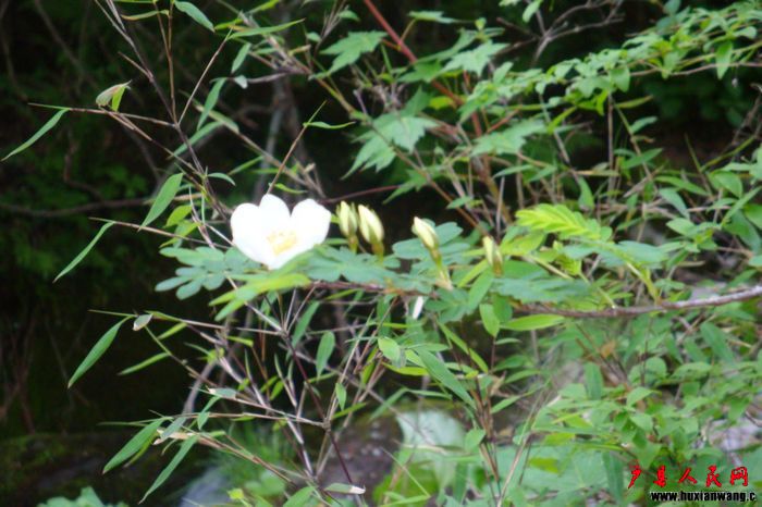 DSC03112.JPG