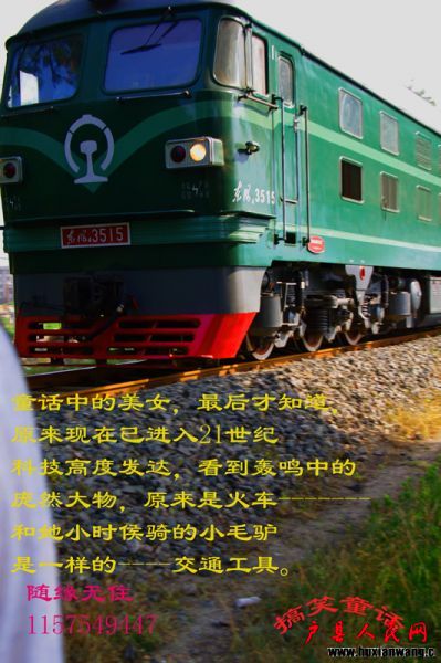 IMGP7238.jpg